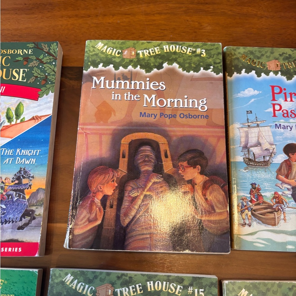 Magic Tree House Book Bundle - Picture 3 of 9